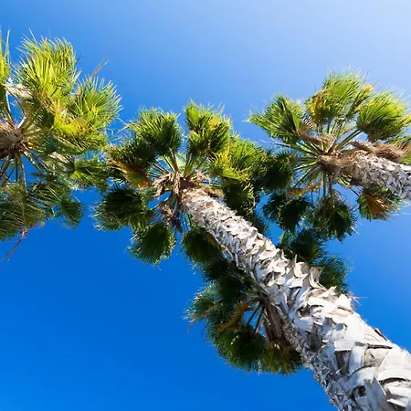 Clube Garden Village Ośrodek wypoczynkowy